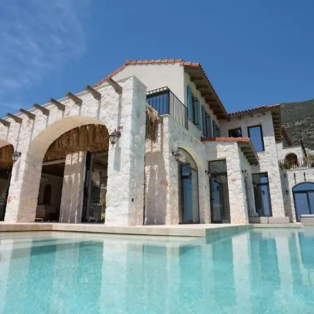 A Lyric Retreat Of Romance, Erato Vila Kaş