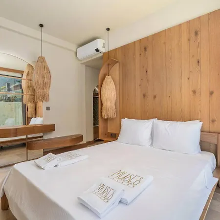 A Lyric Retreat Of Romance, Erato Vila Kaş