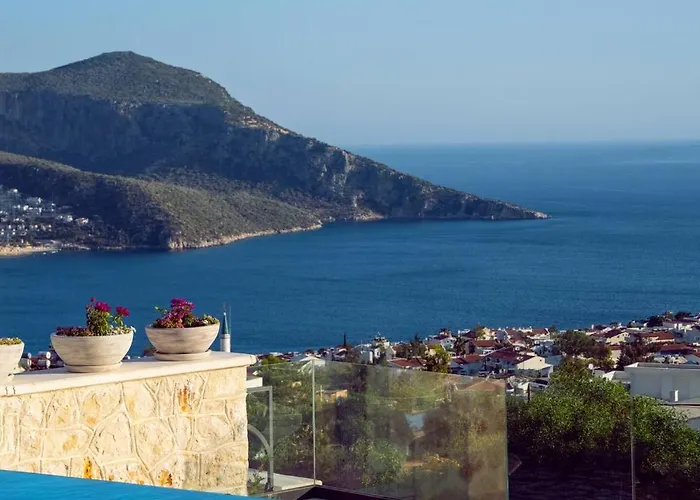 فيلة A Lyric Retreat Of Romance, Erato كاس